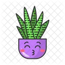 Zebra cactus  Icon
