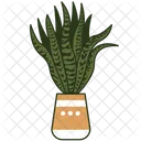 Zebra Cactus Icon