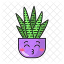 Zebra cactus  Icon