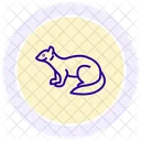 Zebra Duiker Icon