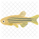 Zebra fish  Icon