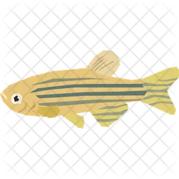 Zebra fish  Icon