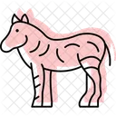 Zebra Mammal Stripes Icon