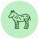 Zebra Icon