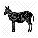 Zebra  Icon