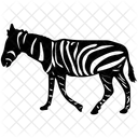 Zebra Animal Ass Icon