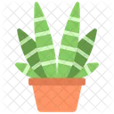Zebra Plant  Icon