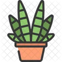 얼룩말 식물  아이콘