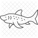 Zebra Shark Ocean Icon