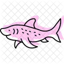 Zebra Shark Zebra Shark Icon