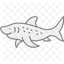 Zebra Shark Zebra Shark Icon