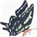 Swallowtail Wildlife Hexapod Icon