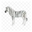 Zebre Noir Blanc Icône