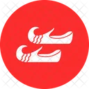 Zehenpantoffeln Chapal Arabische Schuhe Symbol