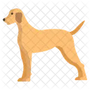 Zeiger Deutsch Haustier Symbol