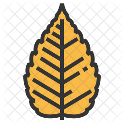 Zelkova Icon