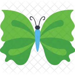 Zigzag Wing Butterfly  Icon