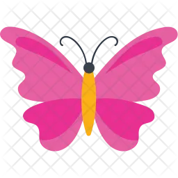 Zigzag Wing Butterfly  Icon