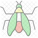 Zikade Insekt Sommer Symbol