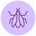 Zikade Insekt Sommer Symbol