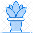 Zimmerpflanze  Symbol