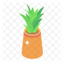 Zimmerpflanze Topfpflanze Dekorative Pflanze Icon