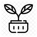 Zimmerpflanzen Grunpflanzen Wohndekor Symbol
