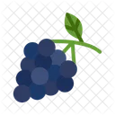 Zinfandel Grapes Fresh Food Icon