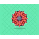 Zinia Sunflower Flower Icon