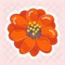 Adesivos De Flores Flores Desabrochando Flores Da Primavera Ícone
