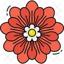 Zinnia Flower Icon