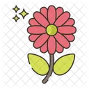 Zinnia  Icon