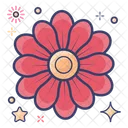 Blossom Zinnia Flower Bloom Icon