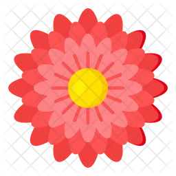 Zinnia Flower  Icon