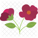 Zinnia Flower Zinnia Bloom Colorful Flower Icon