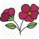 Zinnia Flower Zinnia Bloom Colorful Flower Icon