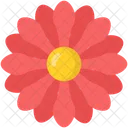 Zinnien Icon