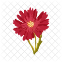 Zinnien  Symbol