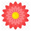 Zinnie Blume  Symbol