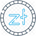 Zloty Currency Money Icon