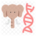 Zoologia Mammalogia Animal Icono
