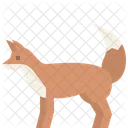 Zorro Animal Salvaje Icono
