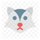 Zorro Animal Fauna Icono