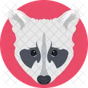 Zorro Coyote Animales Icon