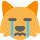 Zorro Llorando Icono