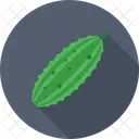 Zucca amara  Icon