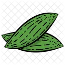 Zucca amara  Icon