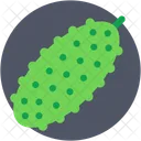 Zucca amara  Icon