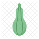 Zucchini  Icon