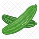 Zucchini  Icon